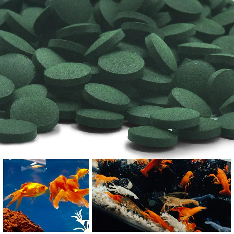Таблетки спирулины SIKEZHAN вы – обзор и цена Spirulina Tablet Organic